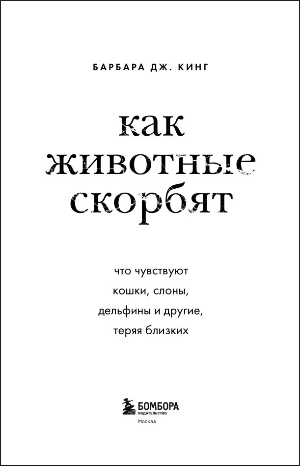 ��� �������� �������: ��� ��������� �����, �����, �������� � ������, ����� �������