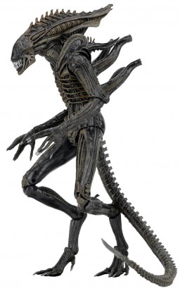  NECA Aliens: Series 11  Defiance Xenomorph (23 )