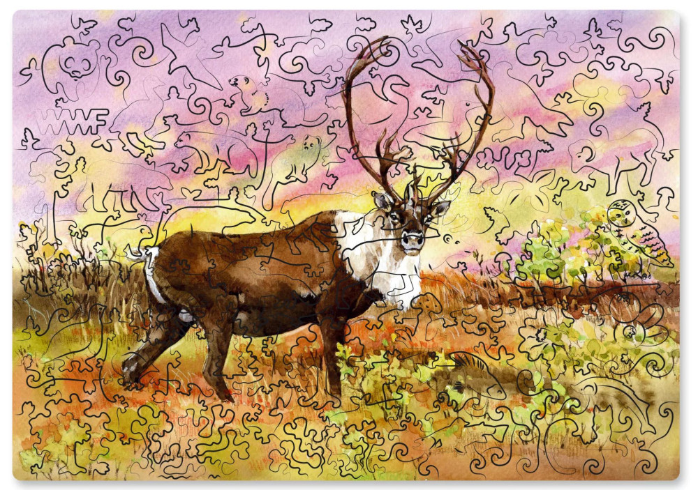 ���� Wooden Puzzles: ����� �������� �����