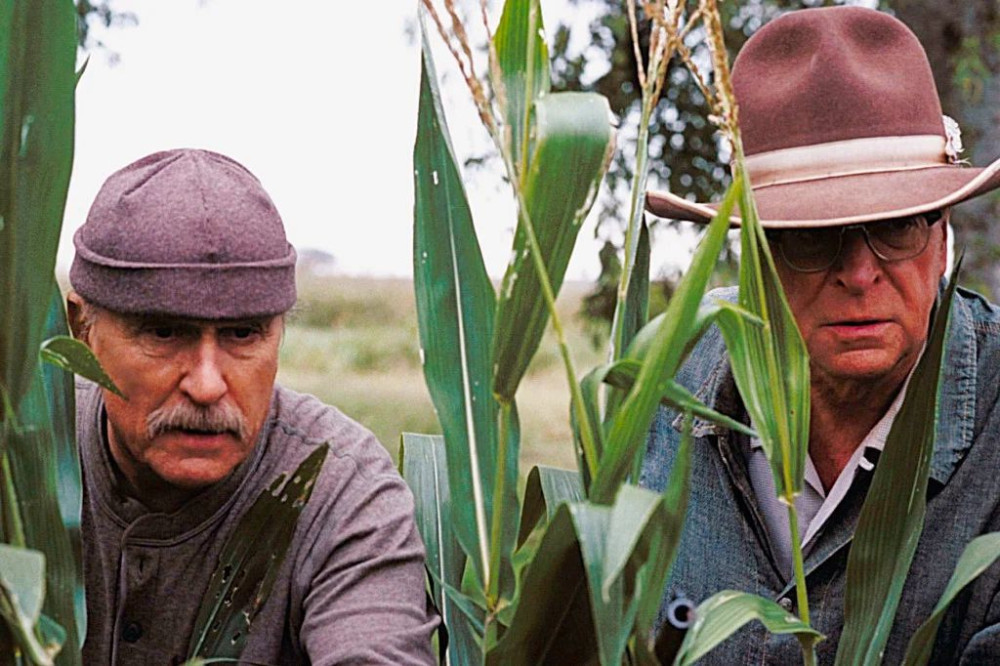 ����������� ���� (DVD)