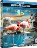   3D (Blu-ray 3D + 2D)