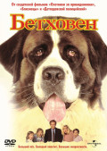  (DVD)