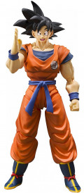  S.H.Figuarts: Dragon Ball Z  Son Goku A Saiyan Raised On Earth (14 )