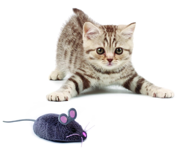   Mouse Cat Toy