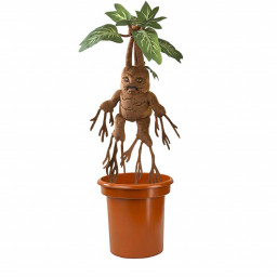 ������ ������� Harry Potter: Mandrake