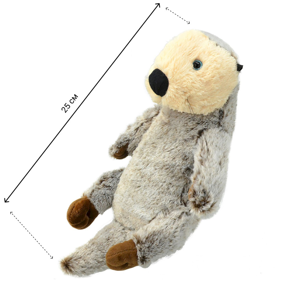 ������ ������� ������� ����� (25 ��)