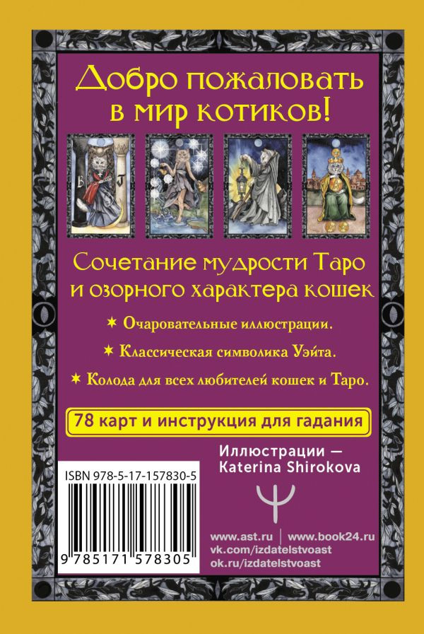 Таро теплых котиков: Предсказания, которые помогут и защитят