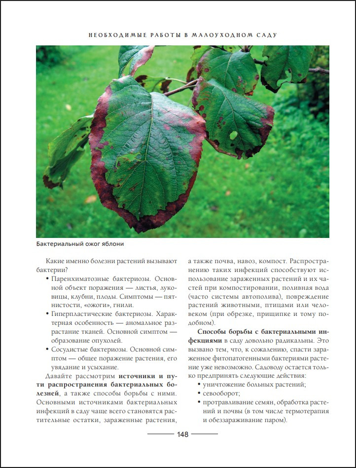 ������� ������������ ����: ��� ������� ������ ������� � �������������� ������������� ����������