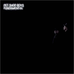 Pet Shop Boys. Fundamental