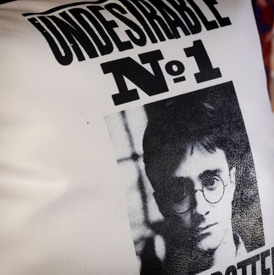  Harry Potter: Undesirable No 1 Harry Potter