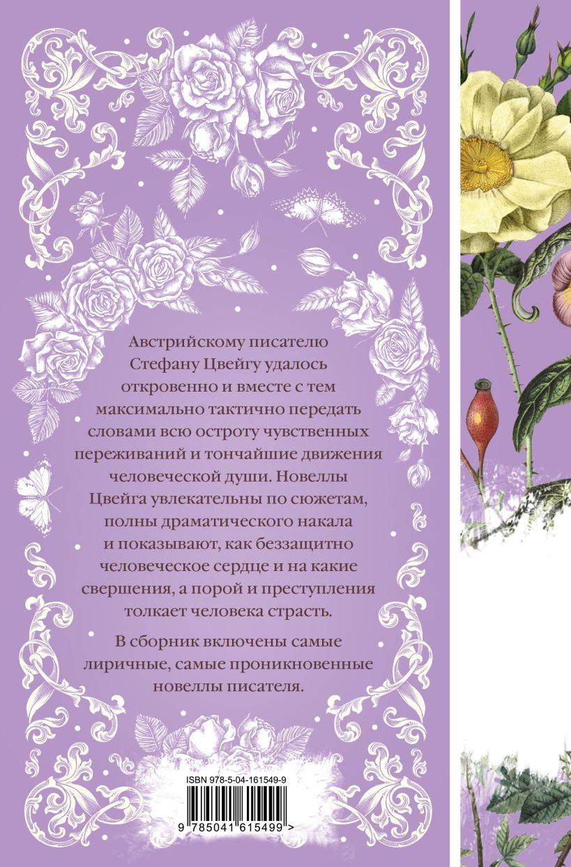 Письмо незнакомки