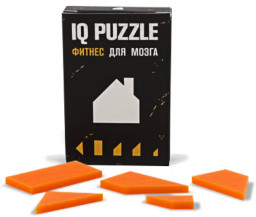 IQ Puzzle 