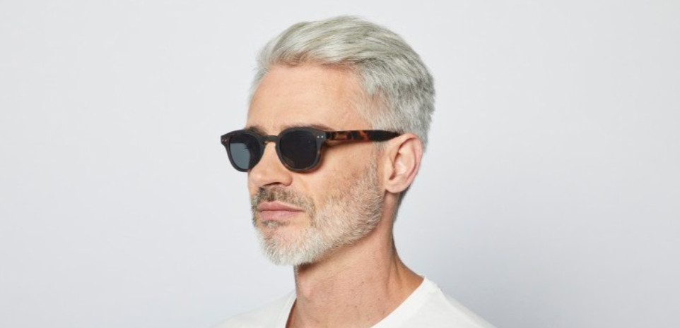 ���� Izipizi ������ #C ����������� ��������������