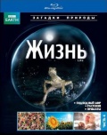 BBC: . 4 (Blu-ray)