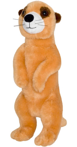 ������ ������� ������� (20 ��)