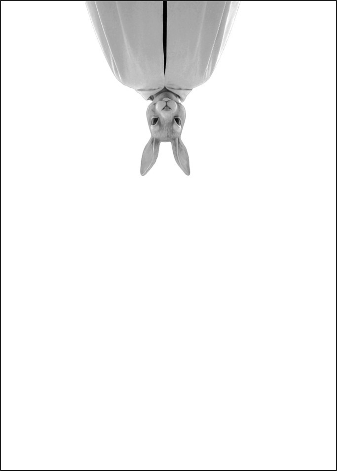 ����� �� �����: ��������� �����������, �������� �������� � ����������� �������