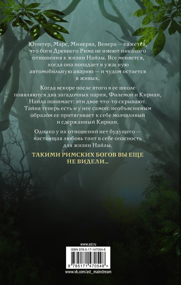 Проклятие богини: За гранью вечности