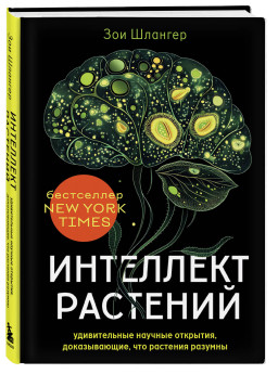 ��������� ��������: ������������ ������� ��������, ������������, ��� �������� �������