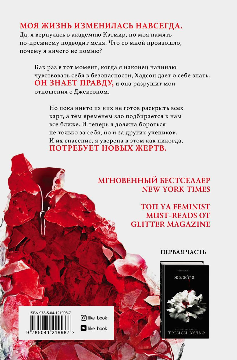 Искушение. Книга 2