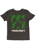  Minecraft  Creeper ()