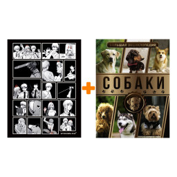   . .  ..,  ..,  .. +  Chainsaw Man