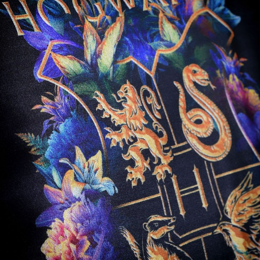  Harry Potter: Hogwarts Logo