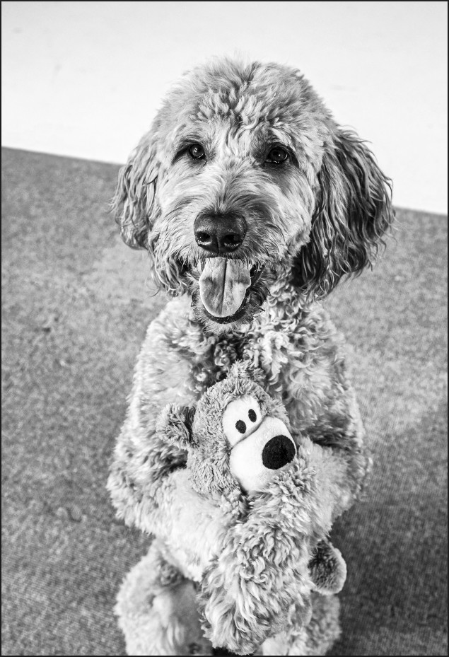 ������, ������� ����� ���: ��������� ����������� �� 118 ������������ ������