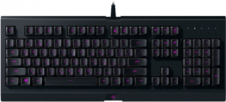  Razer Cynosa Lite Russian Layout   PC (RZ03-02741500-R3R1)