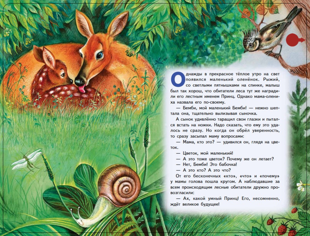 ����� (+ ������ �.�. �������)