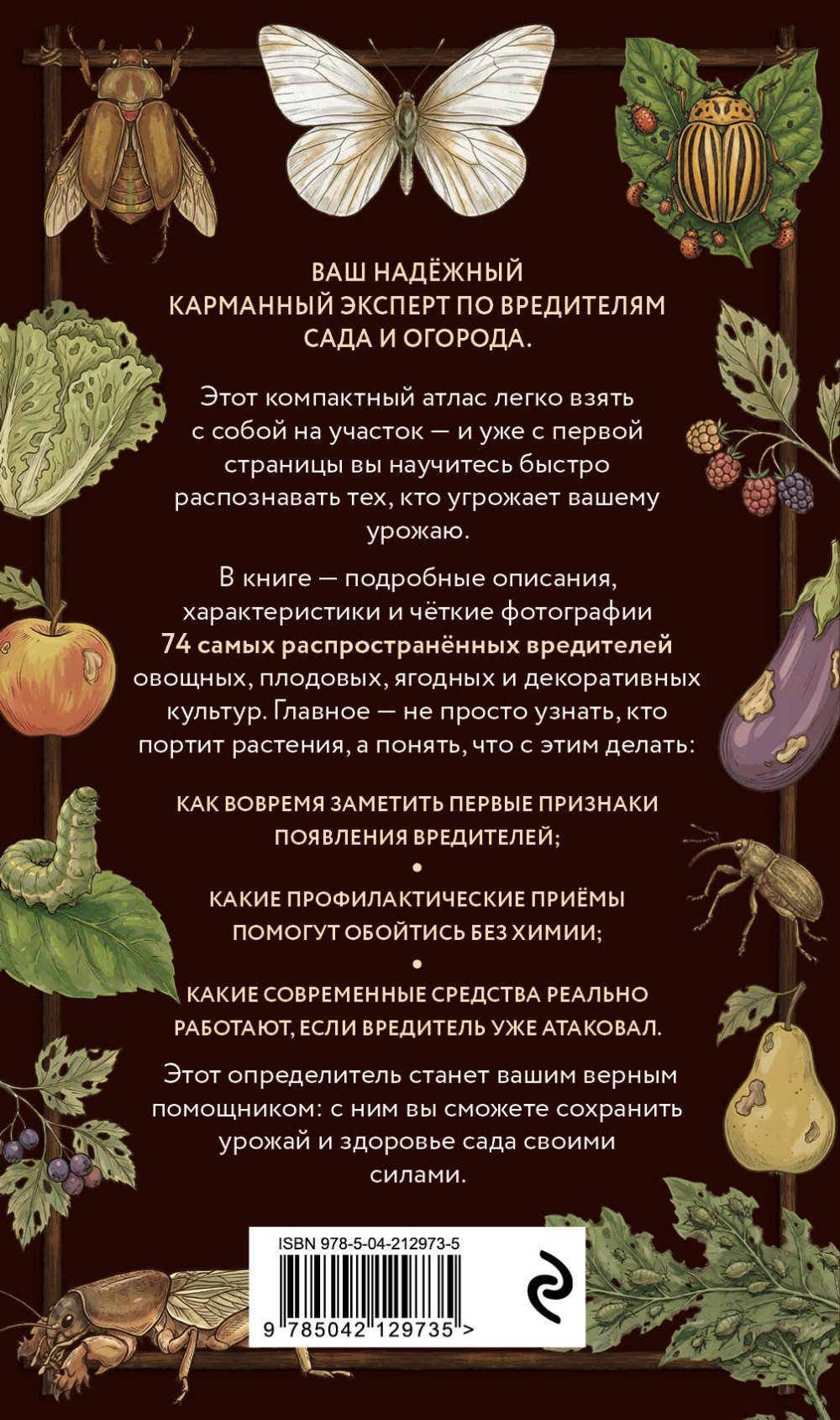 ��������� ���� � �������: ��������� �����-������������