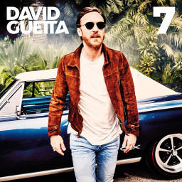 David Guetta  7 (2 LP)