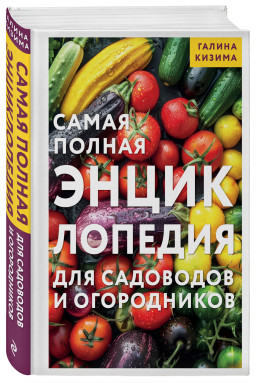 ����� ������ ������������ ��� ��������� � �����������