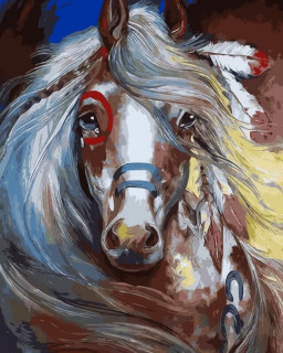 ����� ��� ���������� ��������: ��������� �������� �1