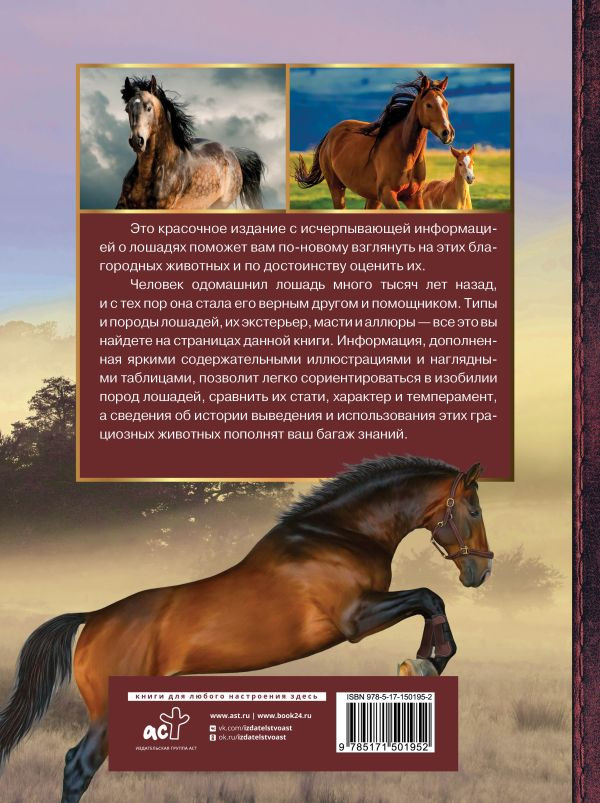 ������� ������������: ������