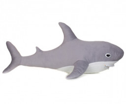 ������ �������-������� ����� ����� (70 ��)