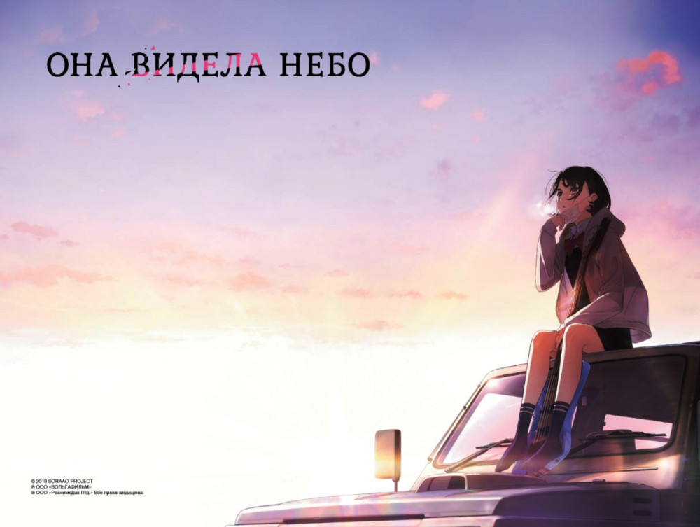    +   (DVD)