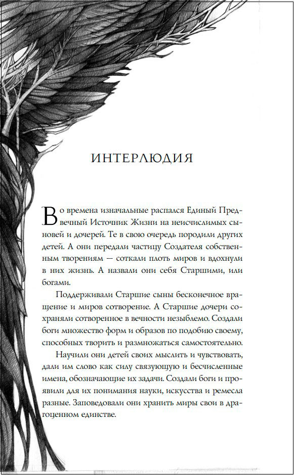 Тайна чёрного волка. Книга 2