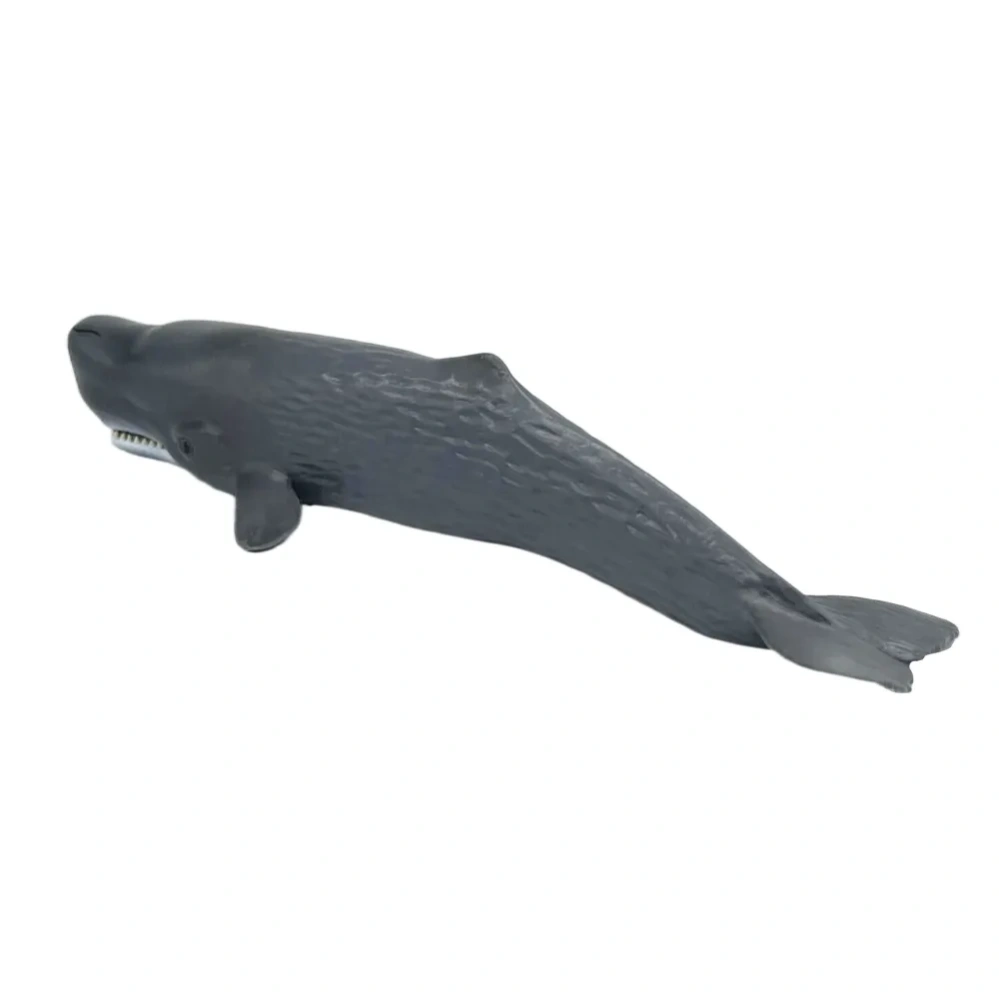 ������� ������� �����: ������� (����� / �����) (M6003)