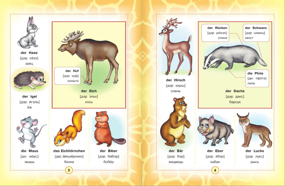 �������-������� ���������� ������� ��� �����