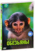 BBC:   (DVD)