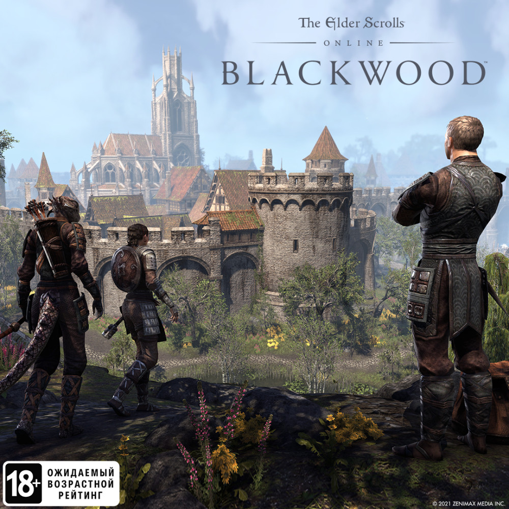The Elder Scrolls Online: Blackwood. Upgrade.  (Steam-) [PC,  ]