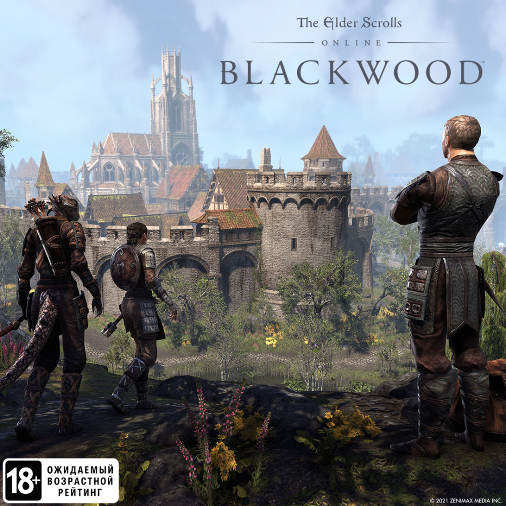 The Elder Scrolls Online: Blackwood. Digital Collectors Edition (Steam-) [PC,  ]