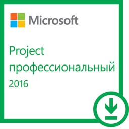 Microsoft Project Professional 2016.  