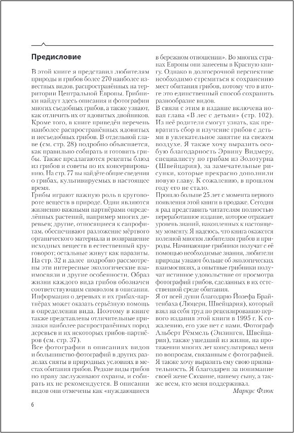Грибы