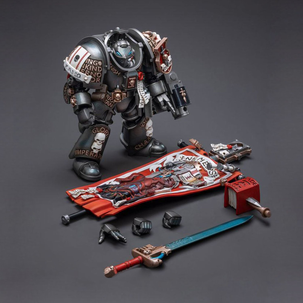  Warhammer 40 000: Grey Knights  Terminator Retius Akantar 1:18 (13,4 )