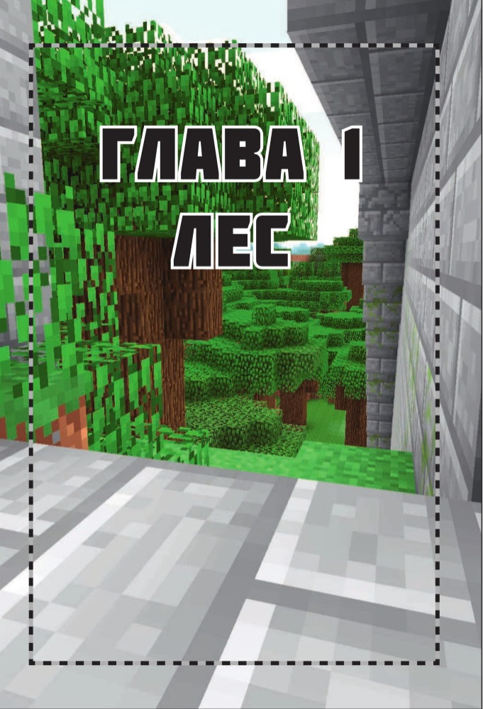    Minecraft:    .  1