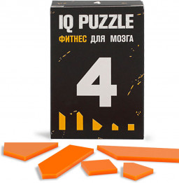 IQ Puzzle  4