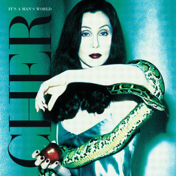 Cher  It's a Man's World (2 LP)