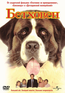  (DVD)