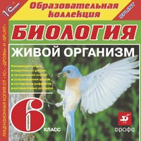 , 6 .  